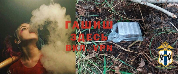 гашик Козловка