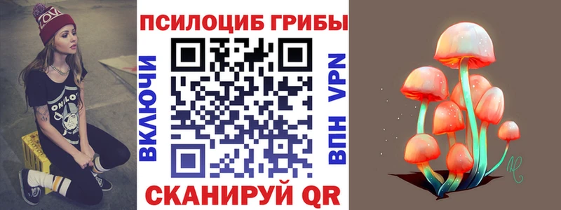 Купить где  Калуга  Псилоцибиновые грибы MAGIC MUSHROOMS 